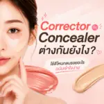 Corrector กับ Concealer ต่างกันยังไง ใช้สีไหนกลบรอยอะไร ลำดับการใช้ที่ถูกต้อง พร้อมรีวิว Mille DUO Perfect Skin Cover 2 in 1 ที่รวมครบในชิ้นเดียว